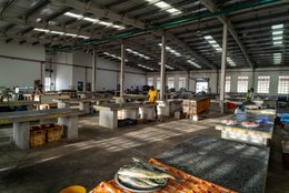 Accra;-Ghana;-Jamestown;-fish-market;-hall;-large-fish;-sea-bream;-red-snapper;-sparse-catch;-stalls;-granite;-new-harbour;-Sino-Ghanaian-cooperation;-artisanal-fishing;-Gulf-of-Guinea;-economy;-West-Africa;-historic-district;-documentary-photography;-Kaleidos;-Kaleidos-images;-La-parole-à-limage;-Stories-Pictures;-Tarek-Charara